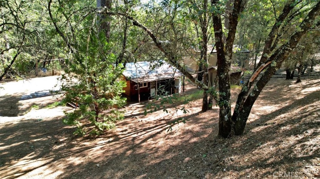 12828 Broyles Trail Property Photo 5