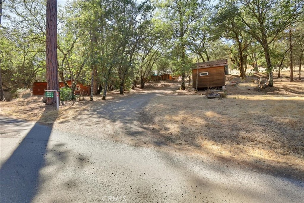 12828 Broyles Trail Property Photo 57