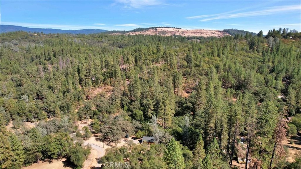 12828 Broyles Trail Property Photo 60