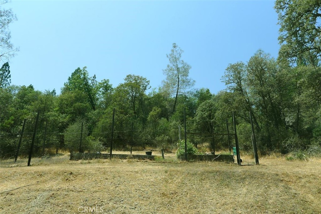 12828 Broyles Trail Property Photo 61