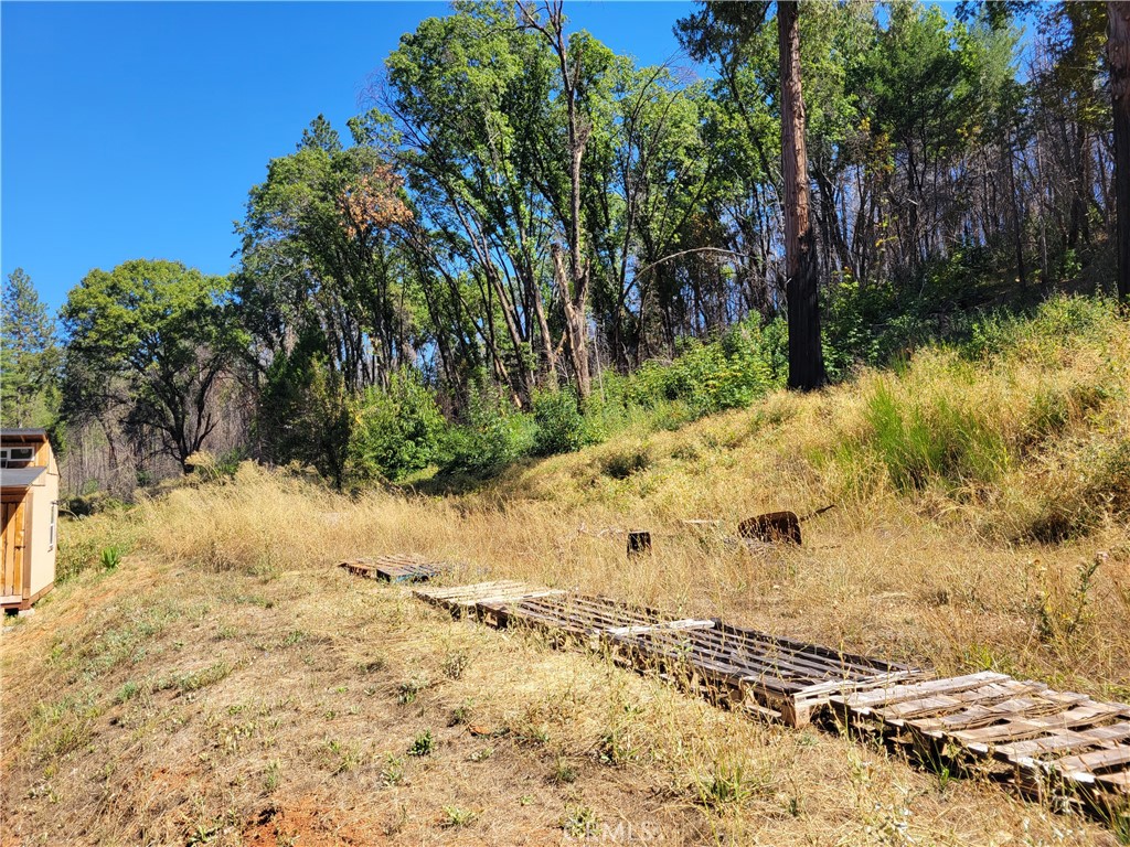 300 Bald Rock Road Property Photo 33
