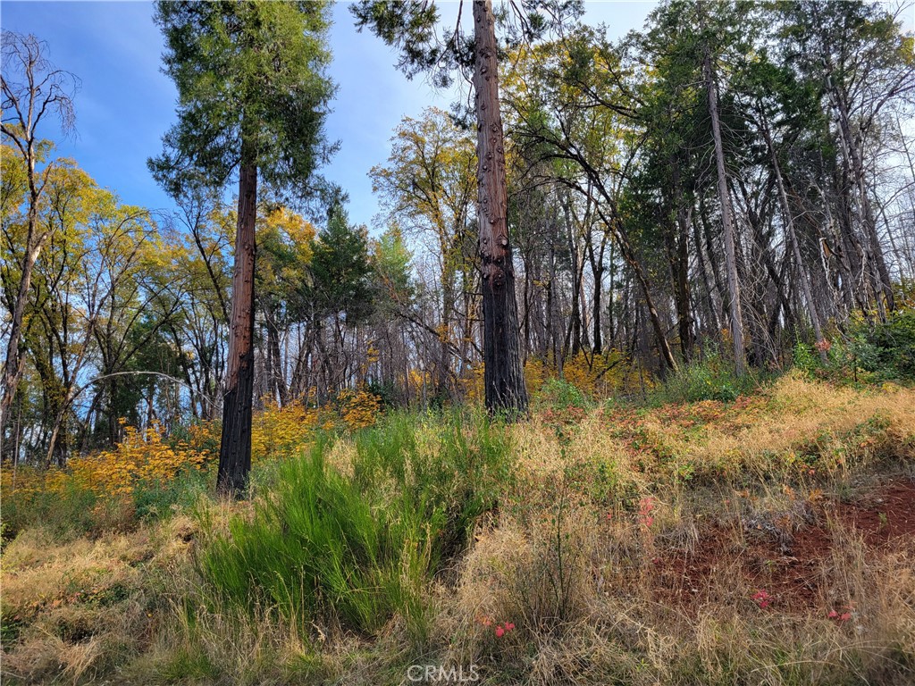 300 Bald Rock Road Property Photo 42