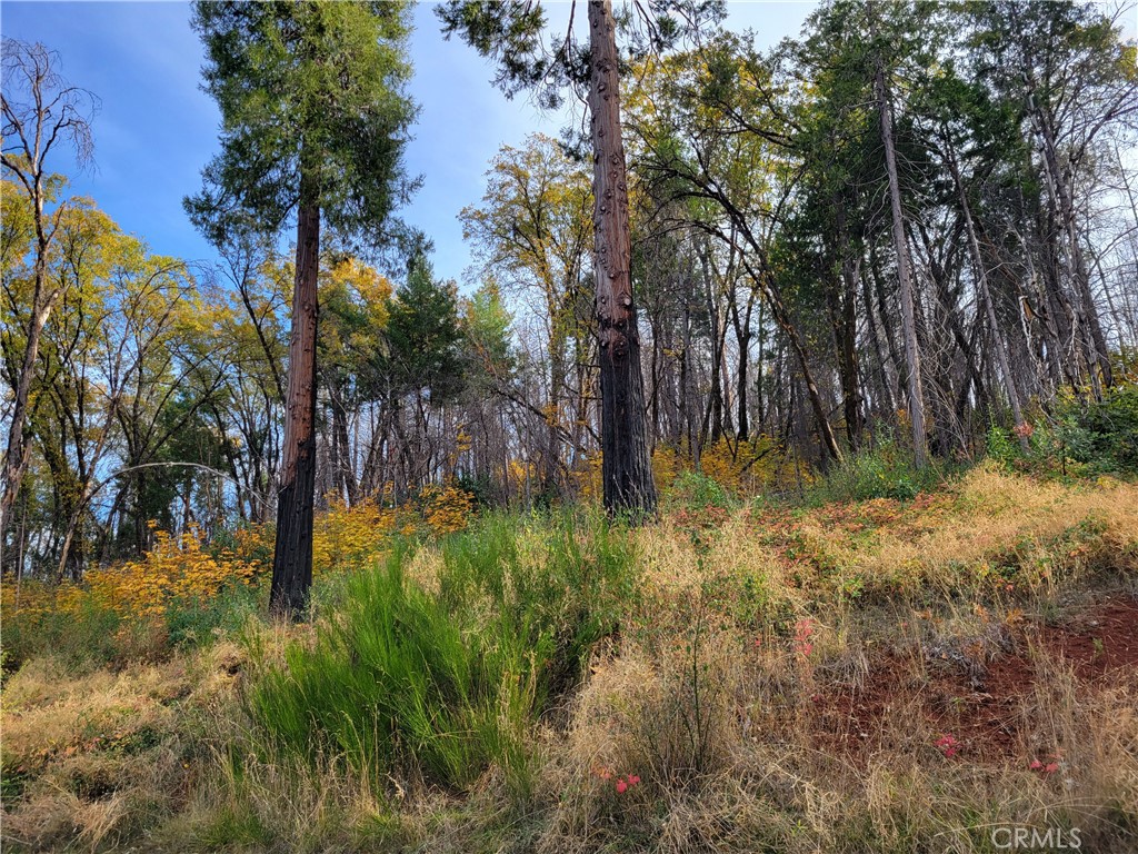300 Bald Rock Road Property Photo 42