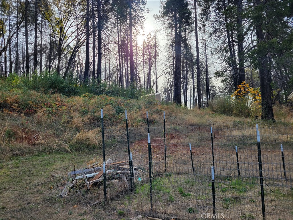 300 Bald Rock Road Property Photo 43