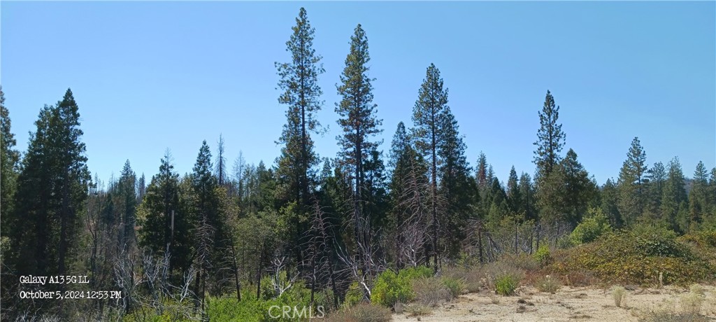 0 Oak Drive Property Photo