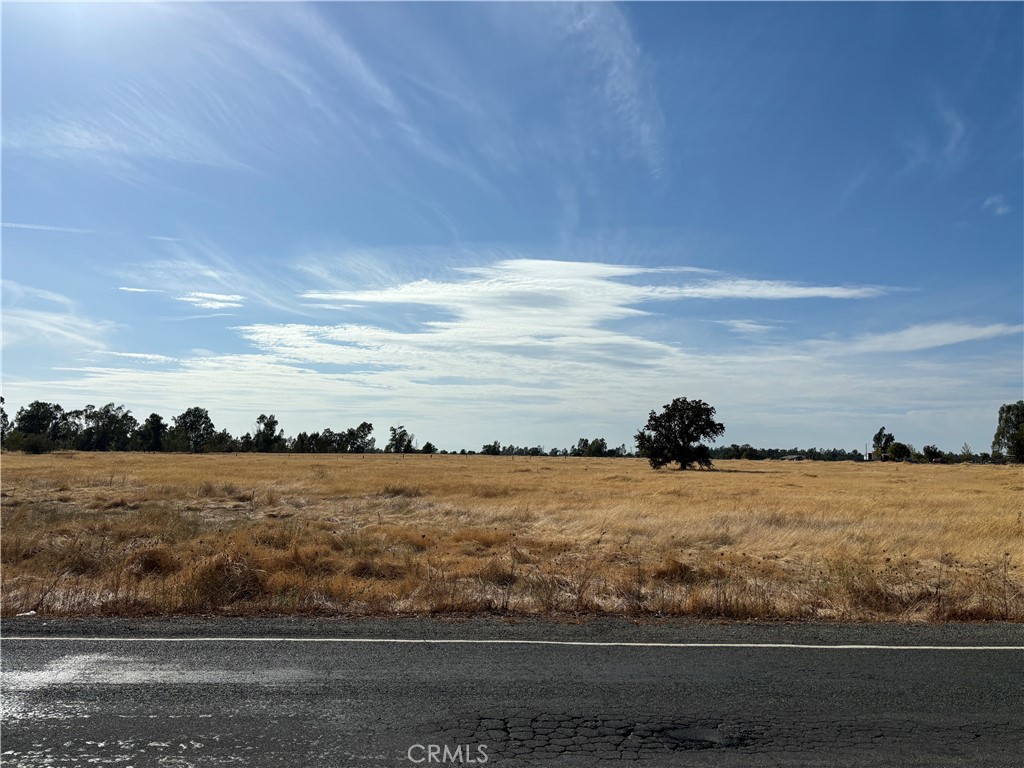 0 Palermo Honcut Hwy Property Photo 1