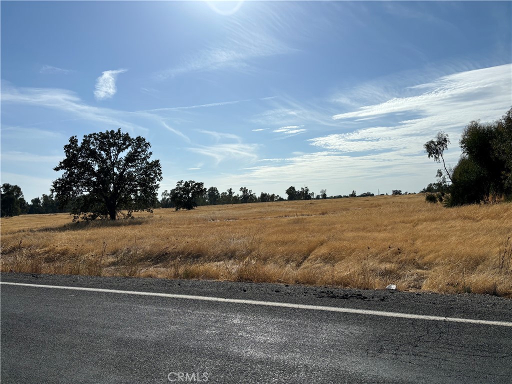 0 Palermo Honcut Hwy Property Photo 3