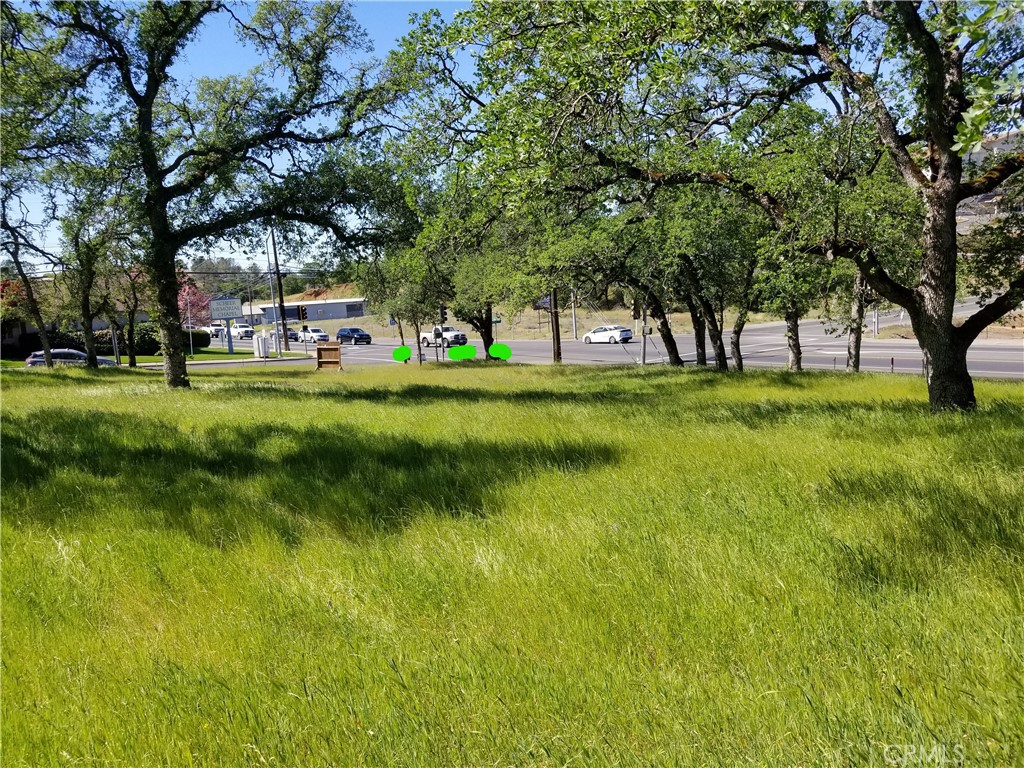 0 Olive Hwy Property Photo 2