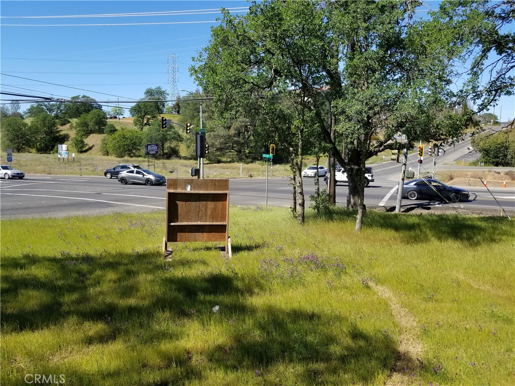 0 Olive Hwy Property Photo 4