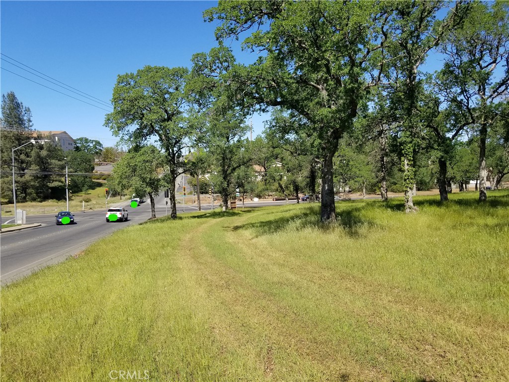 0 Olive Hwy Property Photo 5