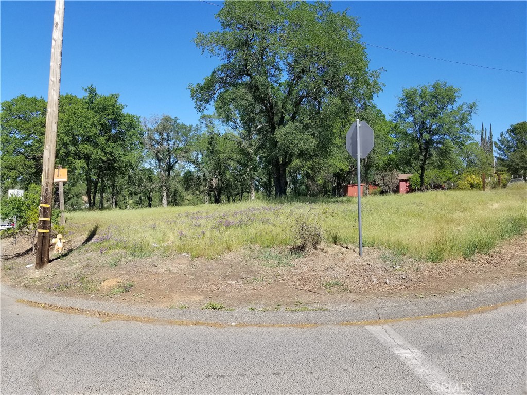 0 Olive Hwy Property Photo 6