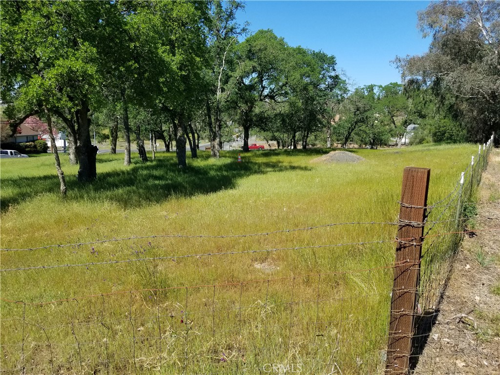 0 Olive Hwy Property Photo 10