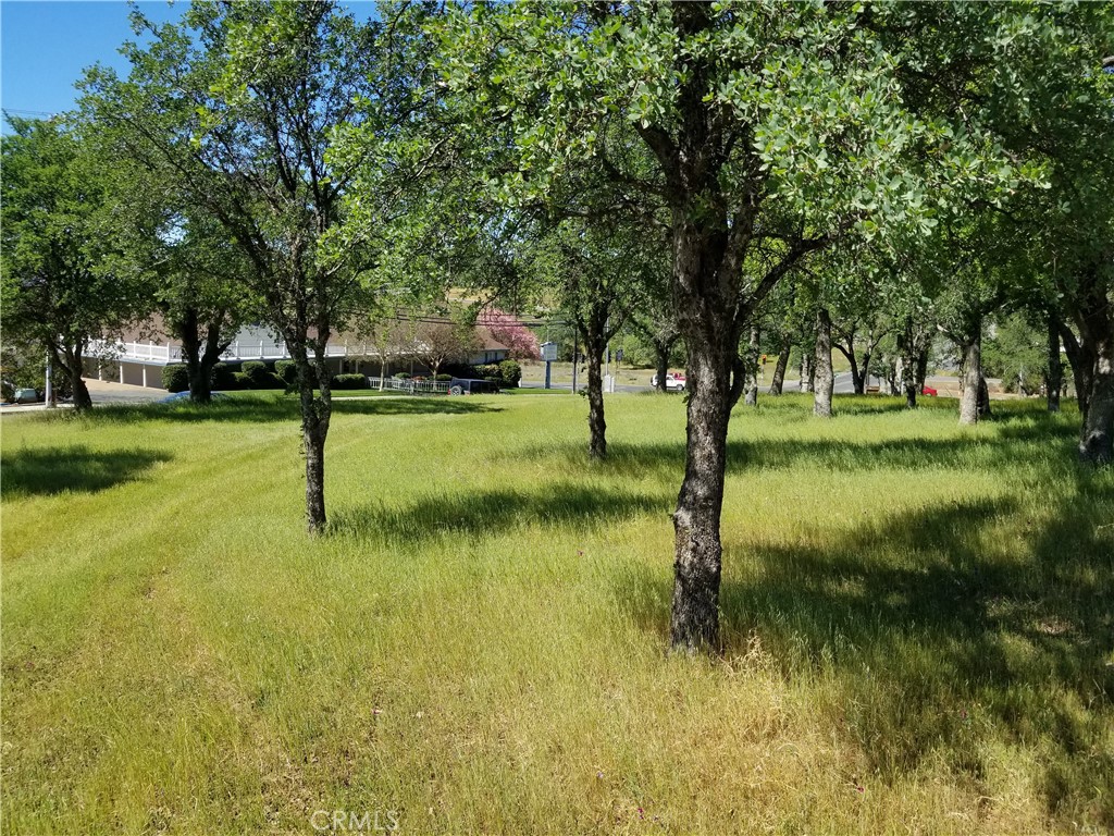 0 Olive Hwy Property Photo 12