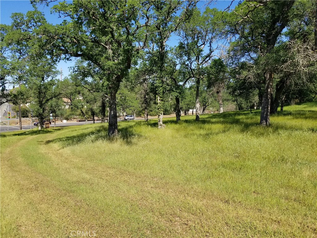 0 Olive Hwy Property Photo 13
