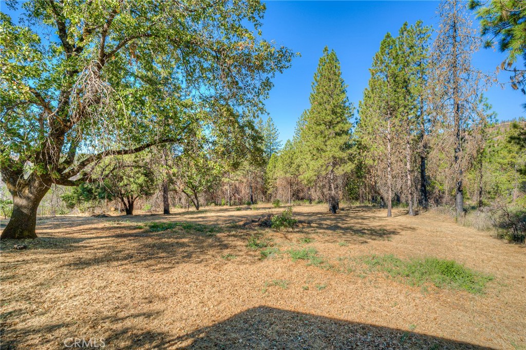 110 Black Bear Road Property Photo 42
