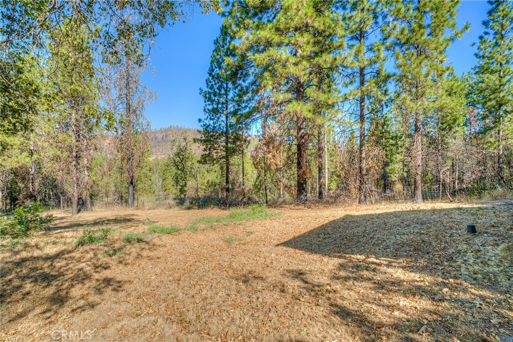 110 Black Bear Road Property Photo 45