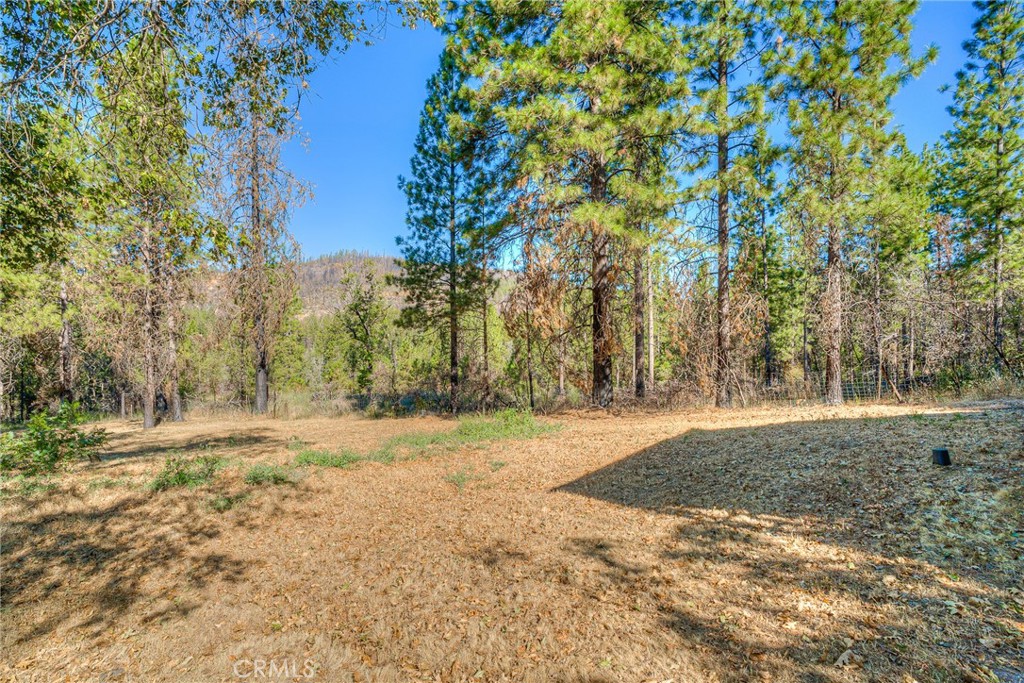 110 Black Bear Road Property Photo 45