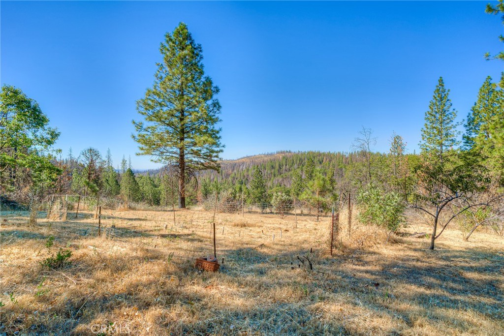110 Black Bear Road Property Photo 46