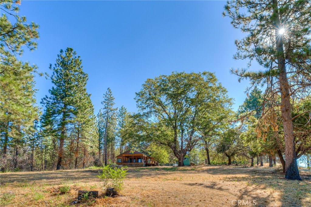 110 Black Bear Road Property Photo 47