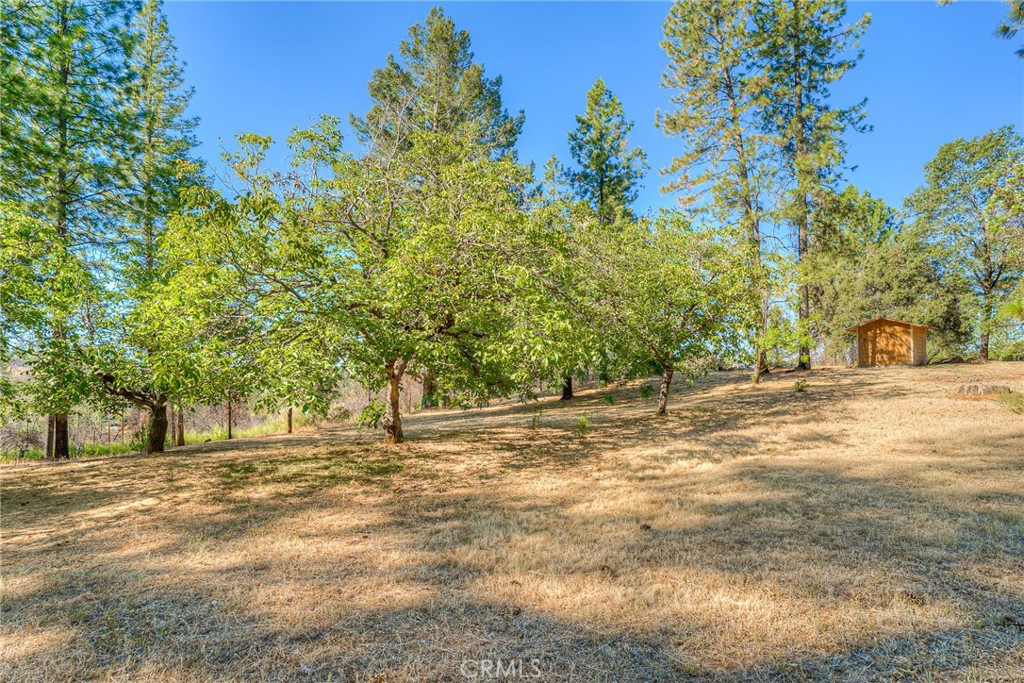110 Black Bear Road Property Photo 57