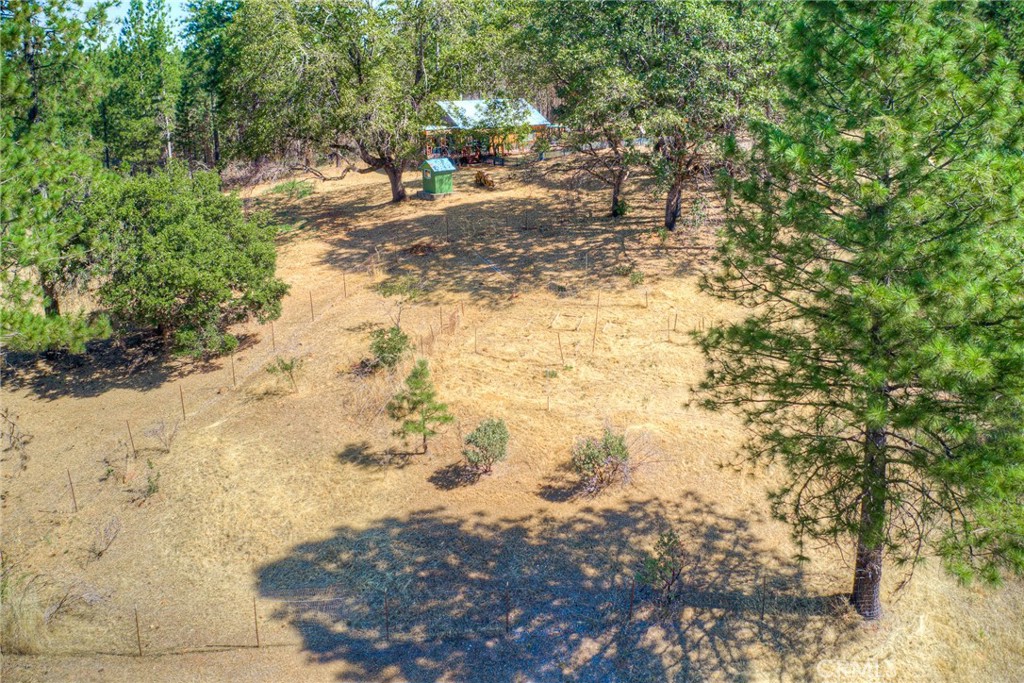 110 Black Bear Road Property Photo 58