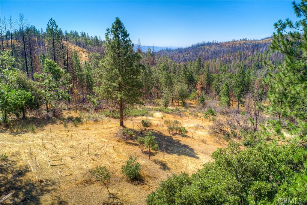 110 Black Bear Road Property Photo 61