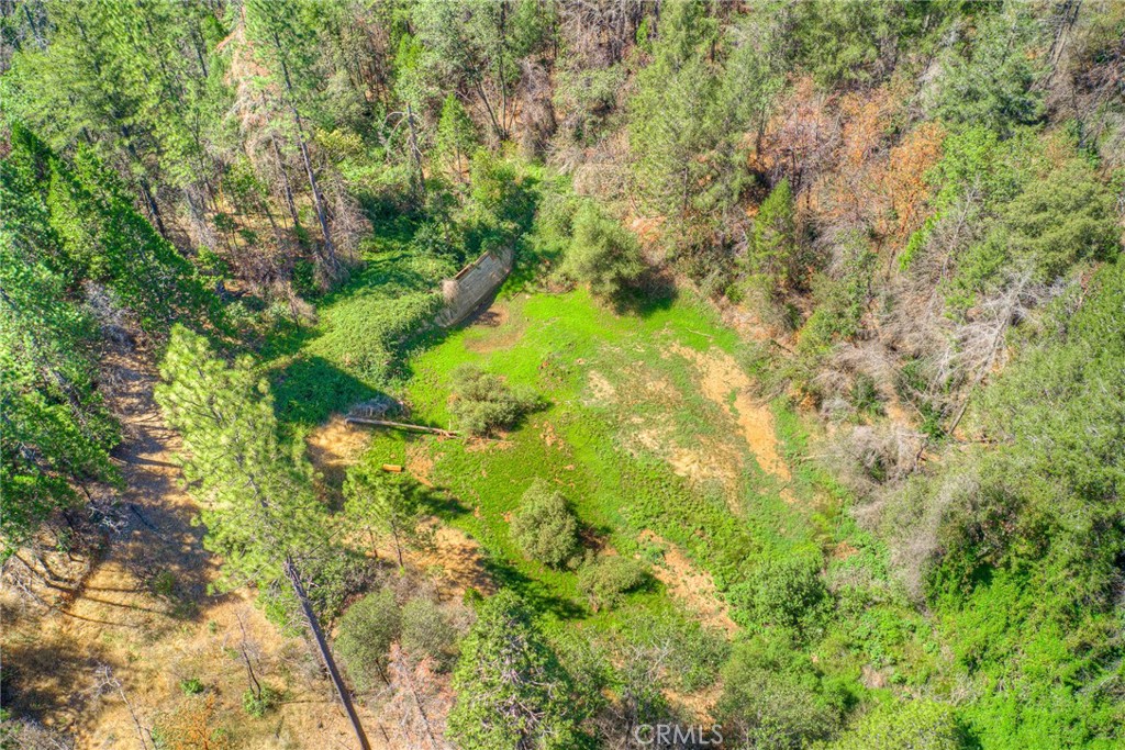 110 Black Bear Road Property Photo 62