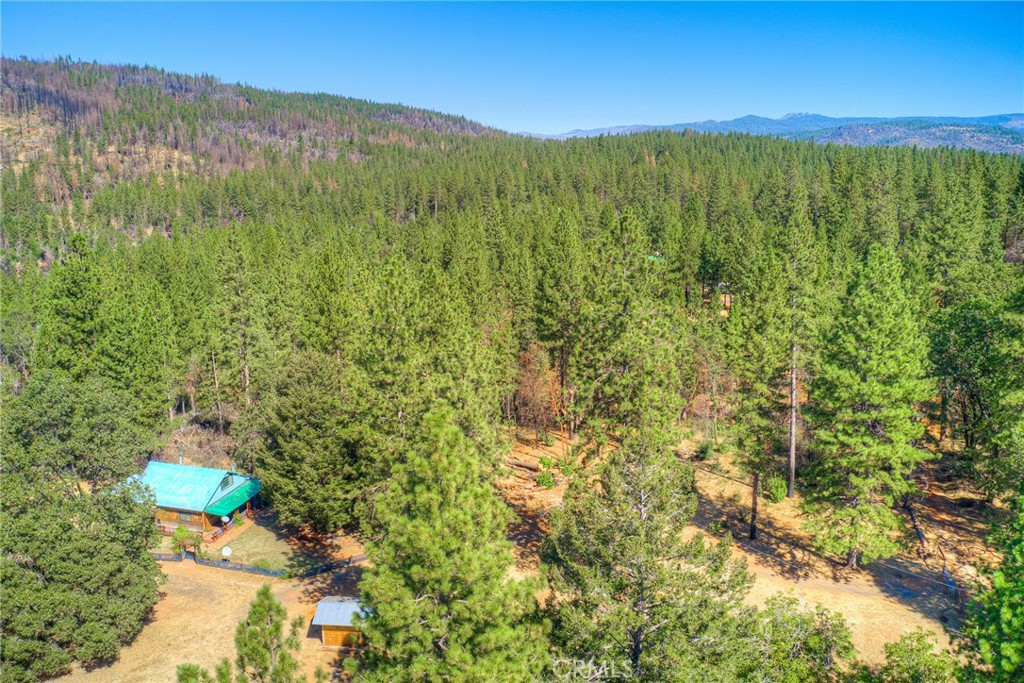 110 Black Bear Road Property Photo 64