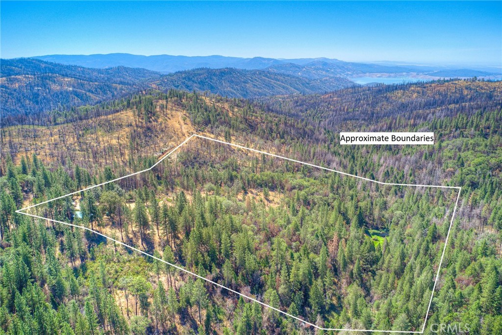 110 Black Bear Road Property Photo 66