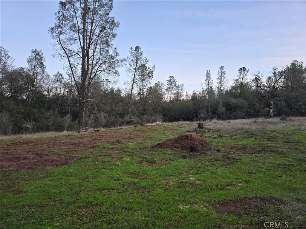 174 Hope Lane Property Photo 38