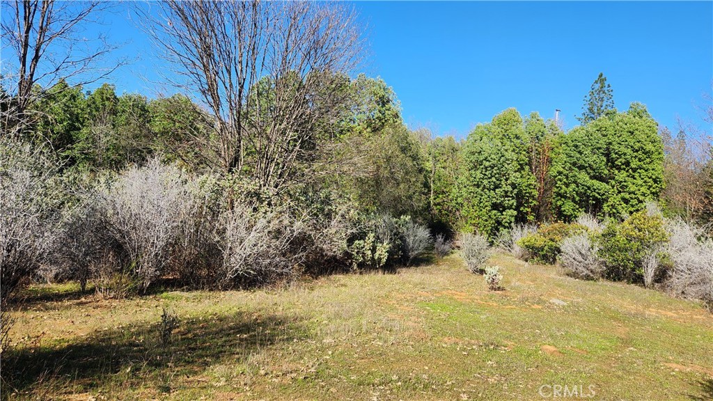 14550 Merriam Road Property Photo 1