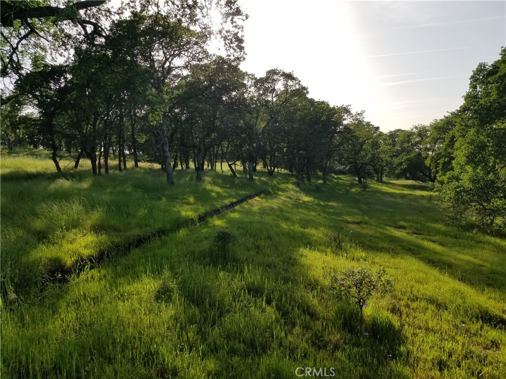 0 Whitney Court Property Photo 2