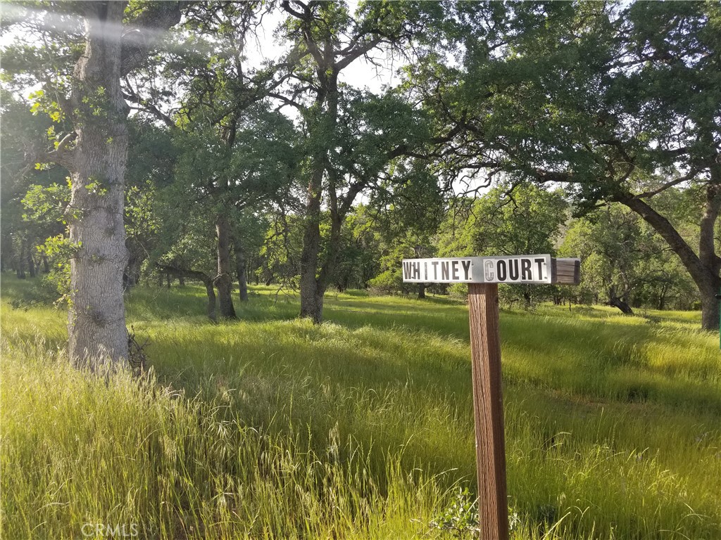 0 Whitney Court Property Photo 5