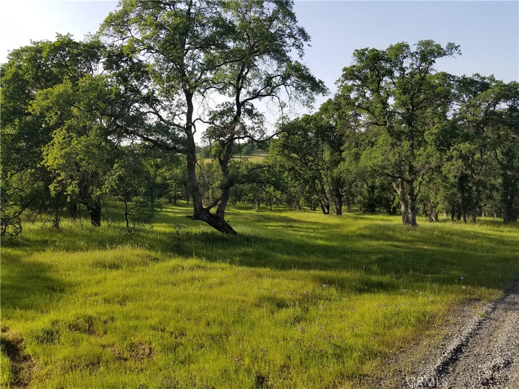 0 Whitney Court Property Photo 7