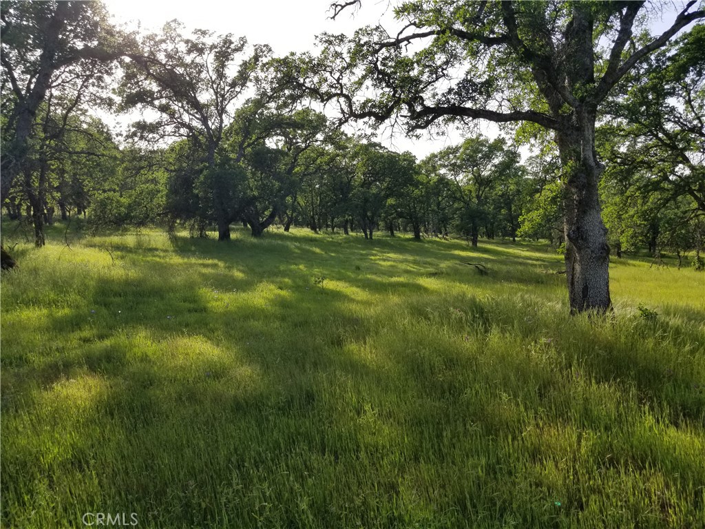 0 Whitney Court Property Photo 8