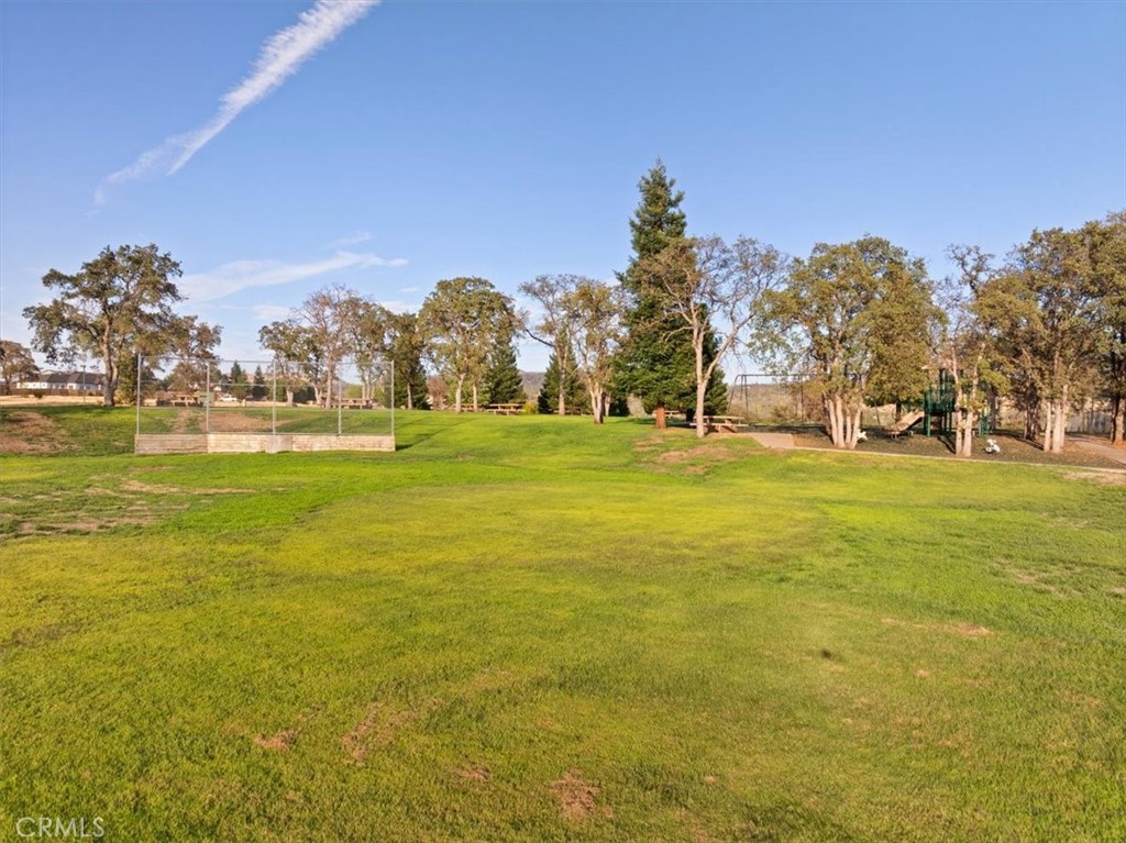 221 Lariat Property Photo 34