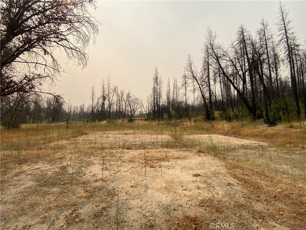 0 Simpson Ranch Property Photo 1