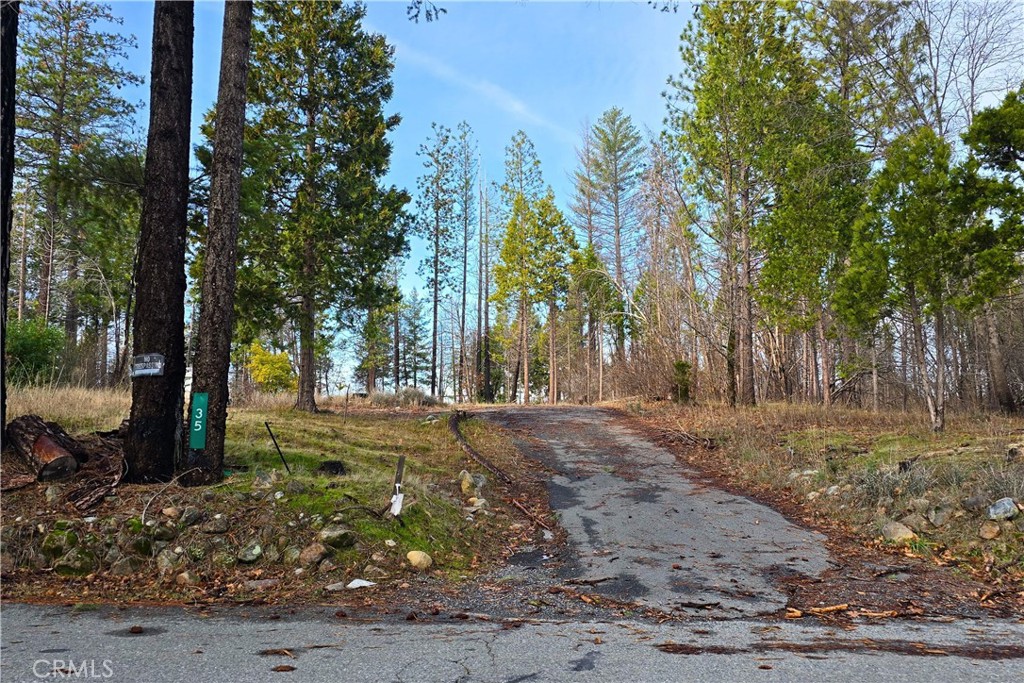 35 Sugar Pine Drive Property Photo