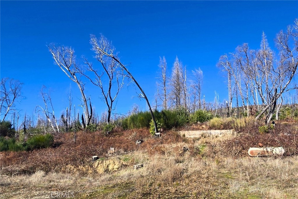 89 Meadow Lane Property Photo 1