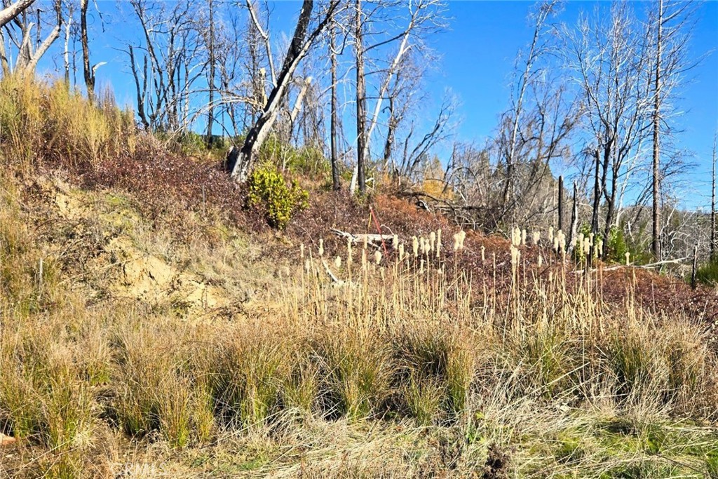 89 Meadow Lane Property Photo 3