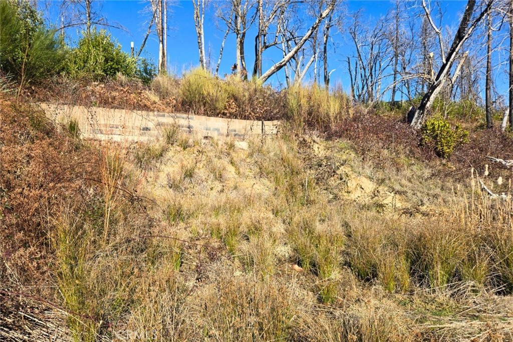 89 Meadow Lane Property Photo 4