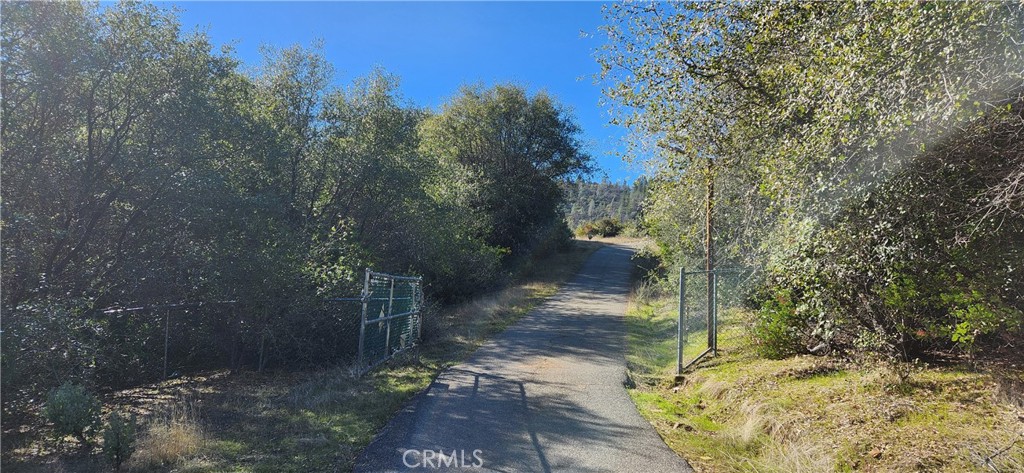 238 Elams Ranch Road Property Photo 3