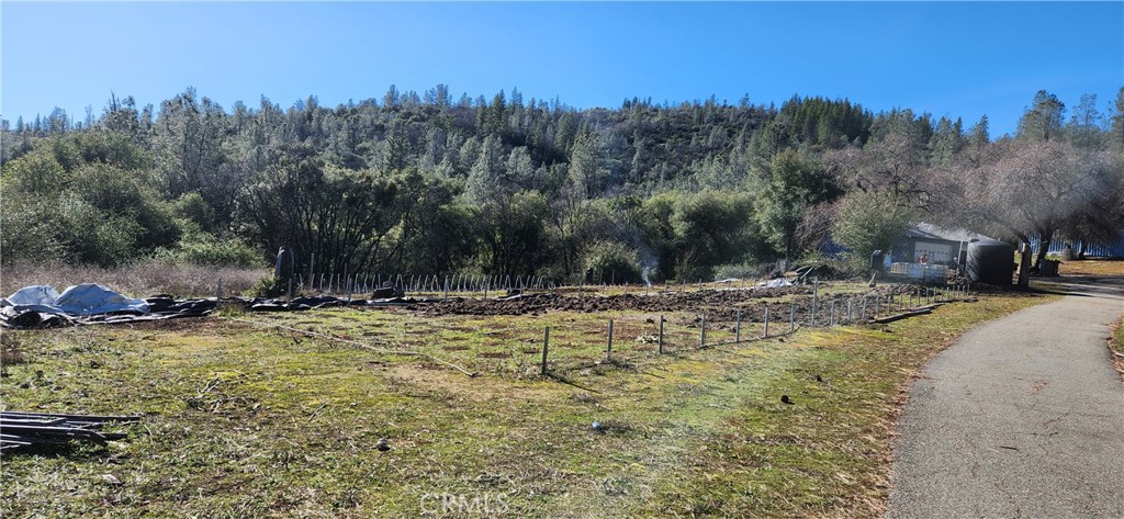 238 Elams Ranch Road Property Photo 4