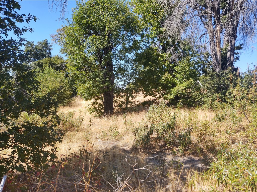 363 Raccoon Road Property Photo