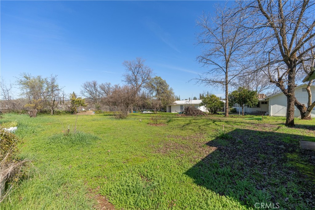 1613 12th Street Property Photo 38