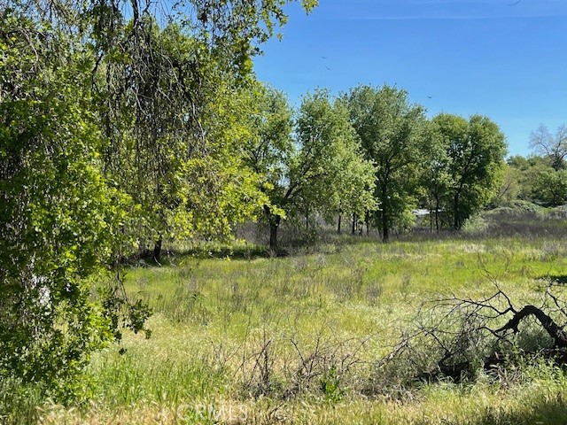 9286 San Benito Avenue Property Photo 43