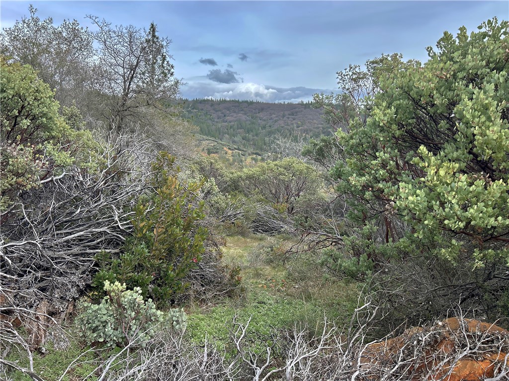 0 Top View Court Property Photo