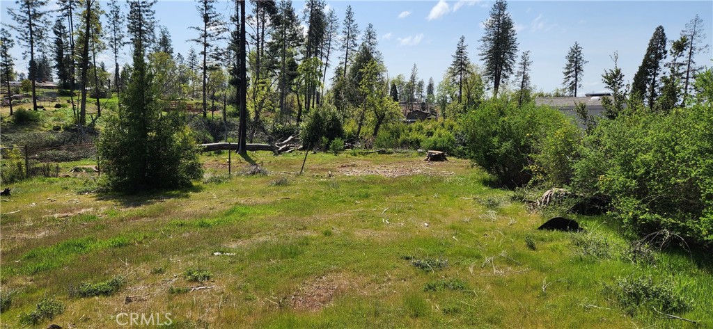 820 Bille Road Property Photo 8
