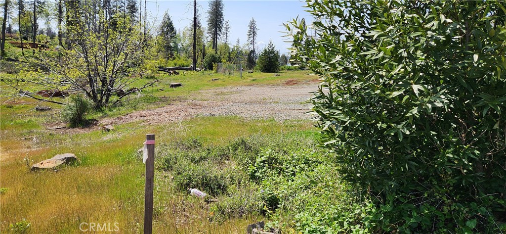 820 Bille Road Property Photo 10