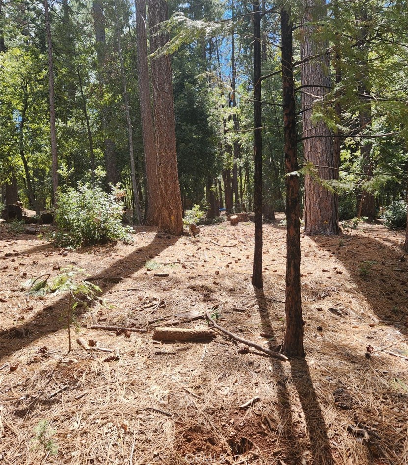 11254 Winding Way Property Photo